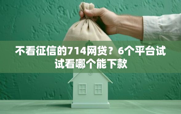 不看征信的714网贷？6个平台试试看哪个能下款