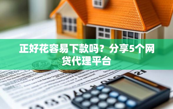 正好花容易下款吗？分享5个网贷代理平台