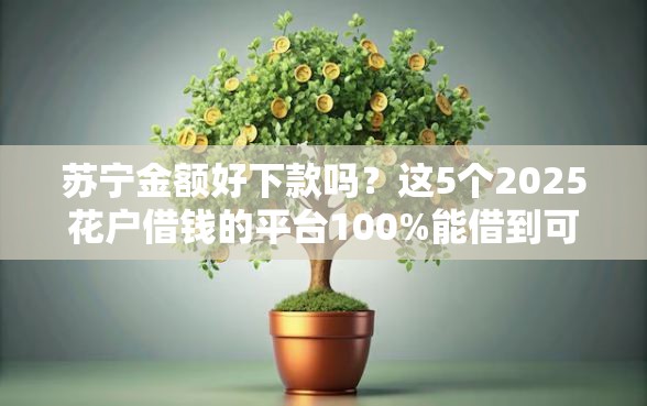苏宁金额好下款吗?这5个2025花户借钱的平台100%能借到可以试试 苏宁金额好下款吗?这5个2025花户借钱的平台100%能借到可以试试