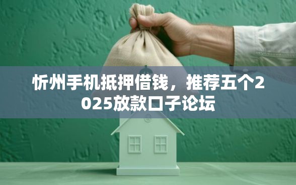 忻州手机抵押借钱，推荐五个2025放款口子论坛