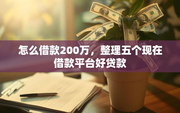 怎么借款200万，整理五个现在借款平台好贷款