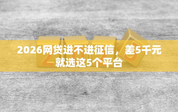 2026网贷进不进征信，差5千元就选这5个平台
