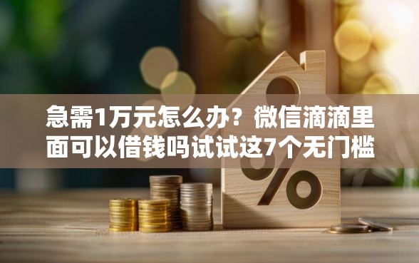 急需1万元怎么办？微信滴滴里面可以借钱吗试试这7个无门槛平台