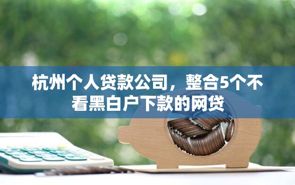 杭州个人贷款公司，整合5个不看黑白户下款的网贷
