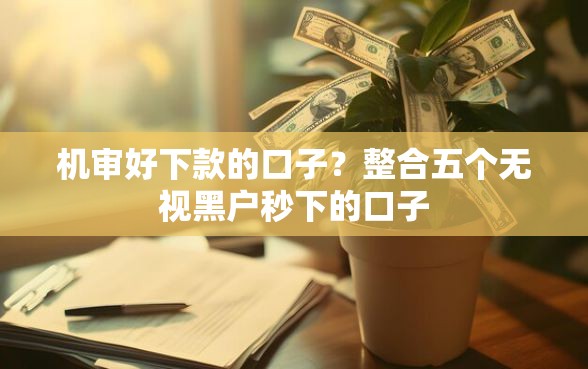 机审好下款的口子?整合五个无视黑户秒下的口子 机审好下款的口子?整合五个无视黑户秒下的口子