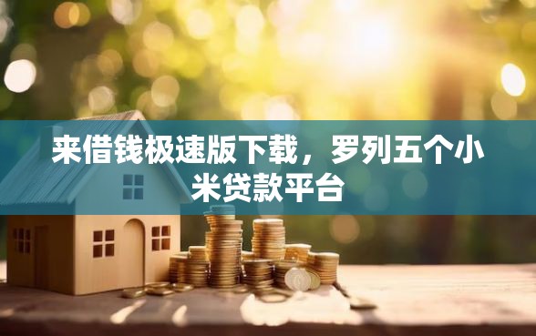 来借钱极速版下载，罗列五个小米贷款平台