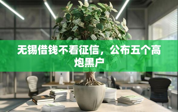 无锡借钱不看征信，公布五个高炮黑户