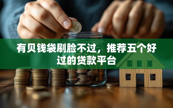有贝钱袋刷脸不过，推荐五个好过的贷款平台