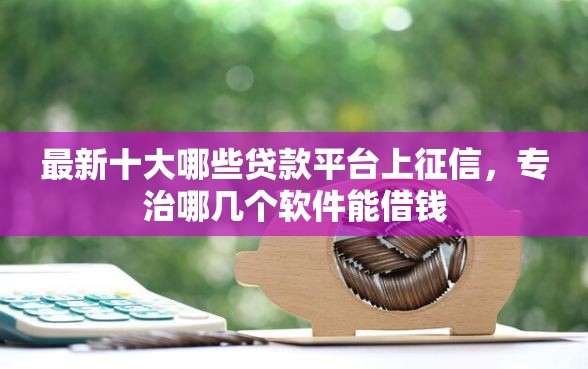 最新十大哪些贷款平台上征信，专治哪几个软件能借钱