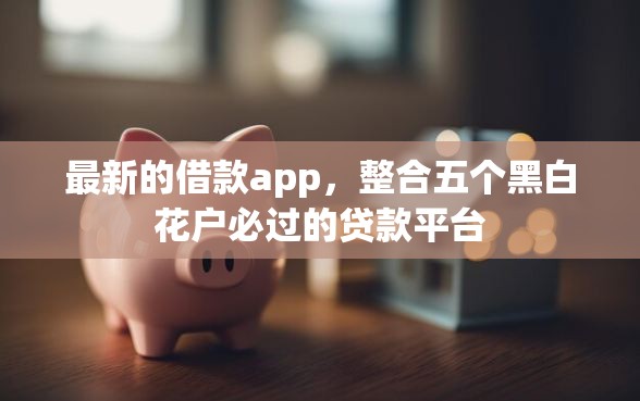 最新的借款app，整合五个黑白花户必过的贷款平台
