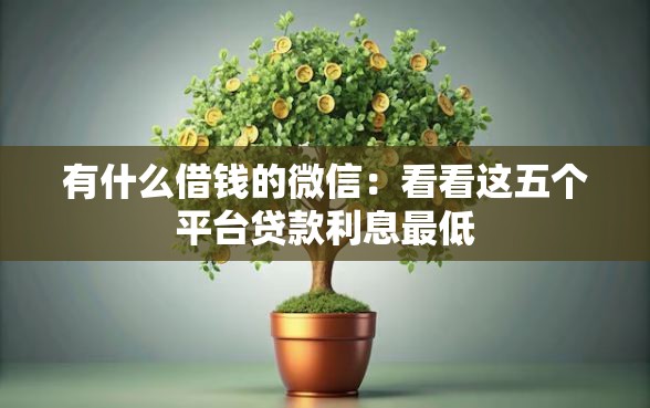 有什么借钱的微信：看看这五个平台贷款利息最低