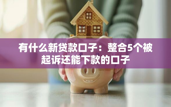 有什么新贷款口子：整合5个被起诉还能下款的口子