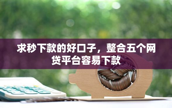 求秒下款的好口子，整合五个网贷平台容易下款