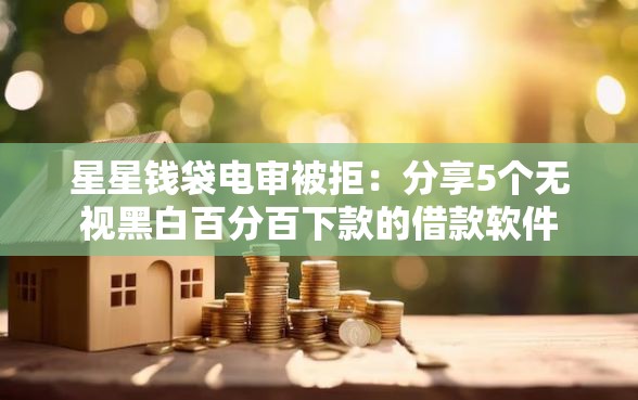 星星钱袋电审被拒：分享5个无视黑白百分百下款的借款软件