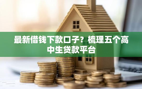 最新借钱下款口子？梳理五个高中生贷款平台
