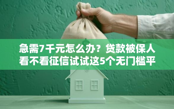 急需7千元怎么办？贷款被保人看不看征信试试这5个无门槛平台