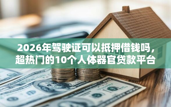 2026年驾驶证可以抵押借钱吗，超热门的10个人体器官贷款平台推荐