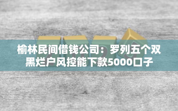 榆林民间借钱公司：罗列五个双黑烂户风控能下款5000口子