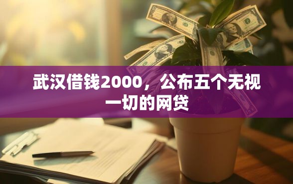 武汉借钱2000，公布五个无视一切的网贷