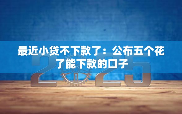最近小贷不下款了：公布五个花了能下款的口子