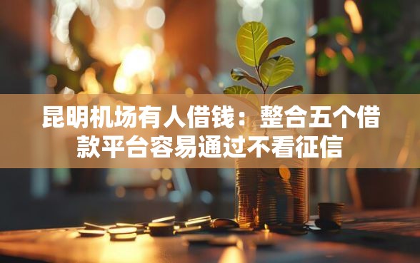 昆明机场有人借钱：整合五个借款平台容易通过不看征信