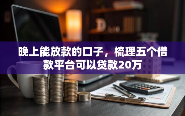 晚上能放款的口子，梳理五个借款平台可以贷款20万