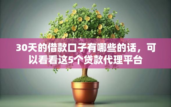 30天的借款口子有哪些的话，可以看看这5个贷款代理平台