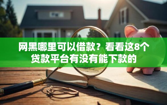 网黑哪里可以借款？看看这8个贷款平台有没有能下款的