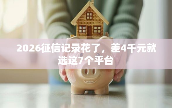 2026征信记录花了，差4千元就选这7个平台