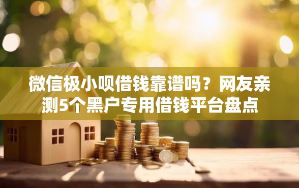 微信极小呗借钱靠谱吗？网友亲测5个黑户专用借钱平台盘点