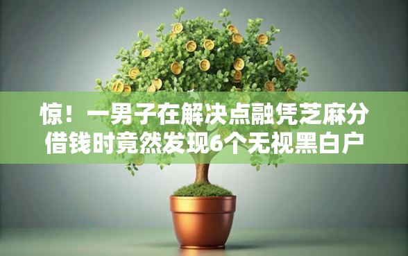惊！一男子在解决点融凭芝麻分借钱时竟然发现6个无视黑白户秒过的网贷，事后分享了出来