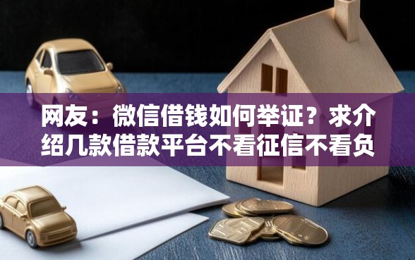 网友：微信借钱如何举证？求介绍几款借款平台不看征信不看负债