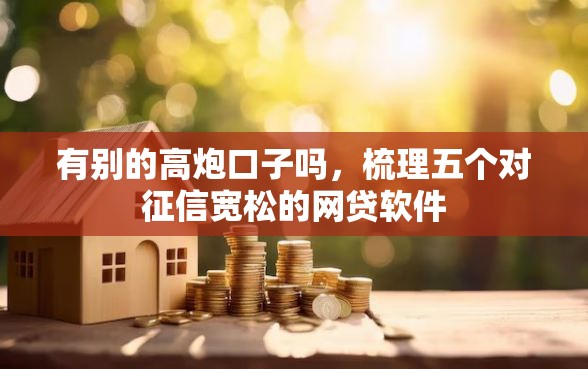 有别的高炮口子吗，梳理五个对征信宽松的网贷软件