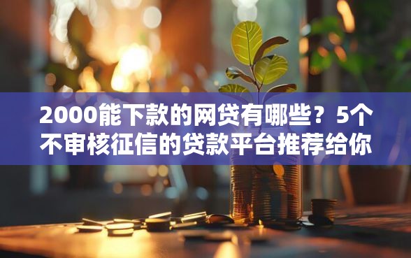 2000能下款的网贷有哪些？5个不审核征信的贷款平台推荐给你