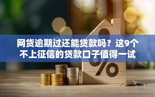 网货逾期过还能贷款吗？这9个不上征信的贷款口子值得一试