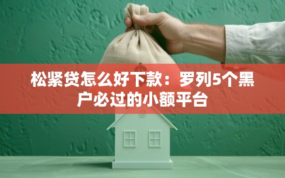 松紧贷怎么好下款：罗列5个黑户必过的小额平台