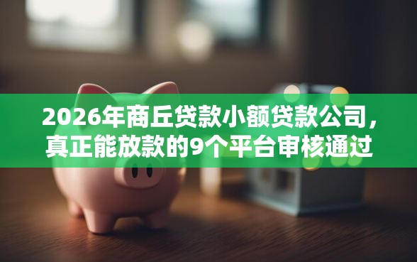 2026年商丘贷款小额贷款公司，真正能放款的9个平台审核通过率高推荐