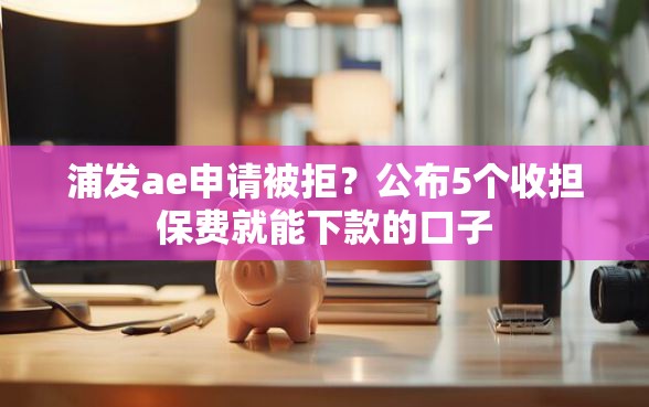 浦发ae申请被拒？公布5个收担保费就能下款的口子