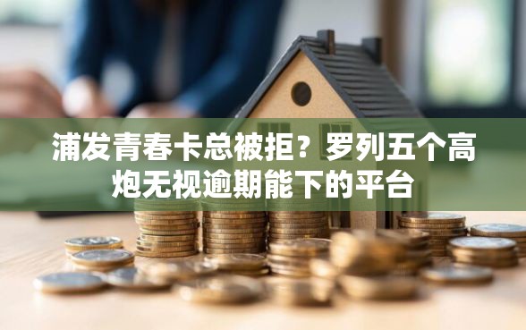 浦发青春卡总被拒？罗列五个高炮无视逾期能下的平台