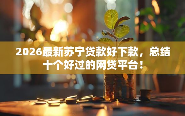 2026最新苏宁贷款好下款，总结十个好过的网贷平台！