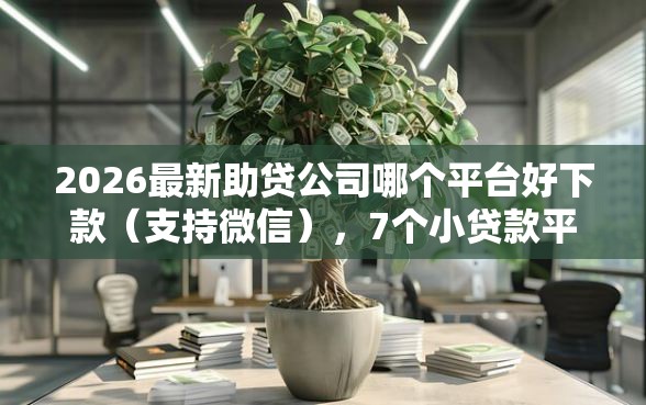 2026最新助贷公司哪个平台好下款（支持微信），7个小贷款平台好下款无私分享