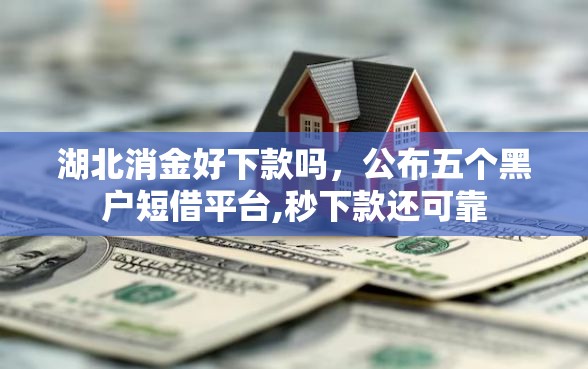 湖北消金好下款吗,公布五个黑户短借平台,秒下款还可靠 湖北消金好下款吗,公布五个黑户短借平台,秒下款还可靠