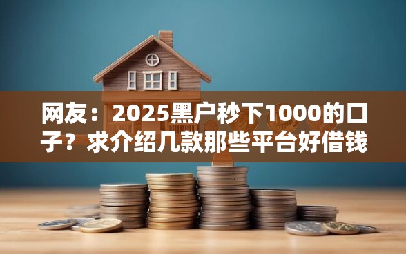 网友：2025黑户秒下1000的口子？求介绍几款那些平台好借钱