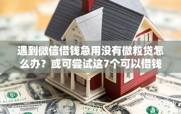 遇到微信借钱急用没有微粒贷怎么办？或可尝试这7个可以借钱不用审核的软件