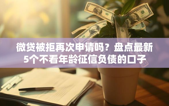 微贷被拒再次申请吗？盘点最新5个不看年龄征信负债的口子