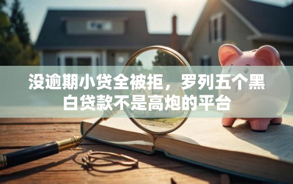没逾期小贷全被拒，罗列五个黑白贷款不是高炮的平台