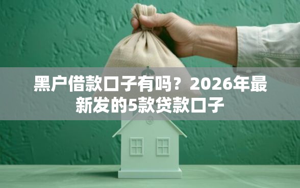黑户借款口子有吗？2026年最新发的5款贷款口子