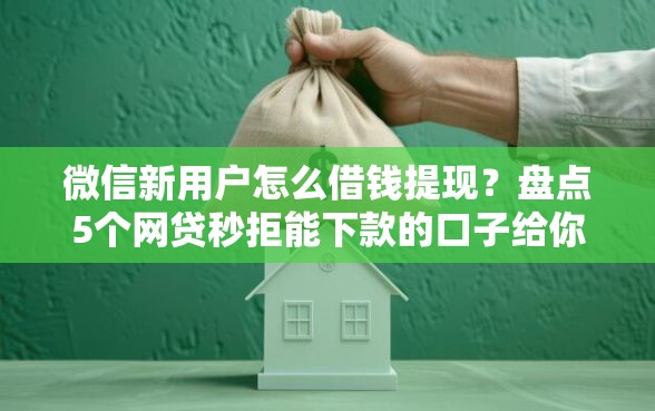 微信新用户怎么借钱提现？盘点5个网贷秒拒能下款的口子给你参考