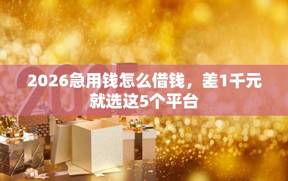 2026急用钱怎么借钱，差1千元就选这5个平台