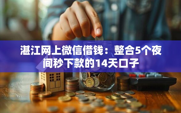 湛江网上微信借钱：整合5个夜间秒下款的14天口子